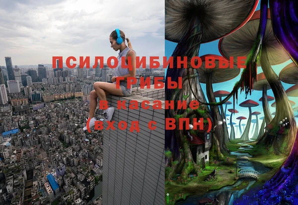 гидра Алексеевка