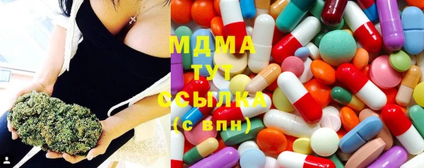 гидра Алексеевка