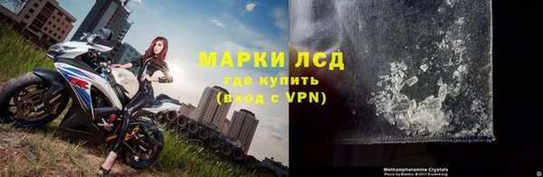 твердый Алзамай